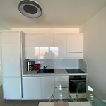 Oaza Appartement *